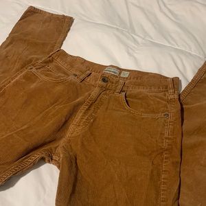 Patagonia Corduroy Pants